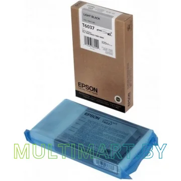 Картридж Epson C13T603700 картинка 3